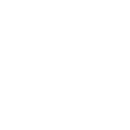 house (1)