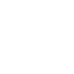 shopping-bag